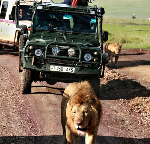 top travel trips